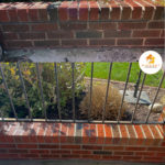 Improve Your Curb Appeal with Masonry Restoration